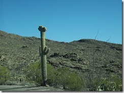 DSCN3009