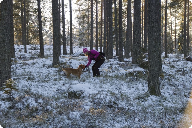 Tra╠êning vid skjutbanan 16