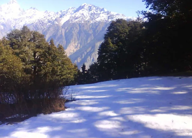 Auli