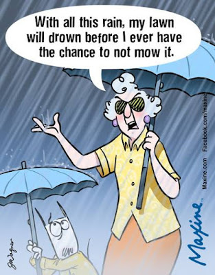 Maxine cartoons  lawn rain