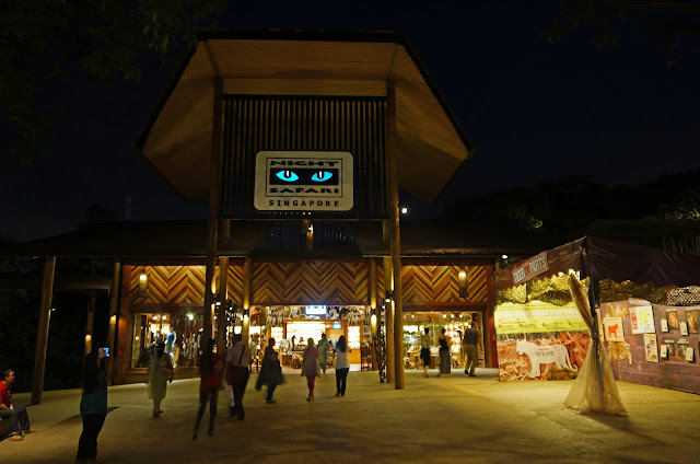 Night Safari Singapore