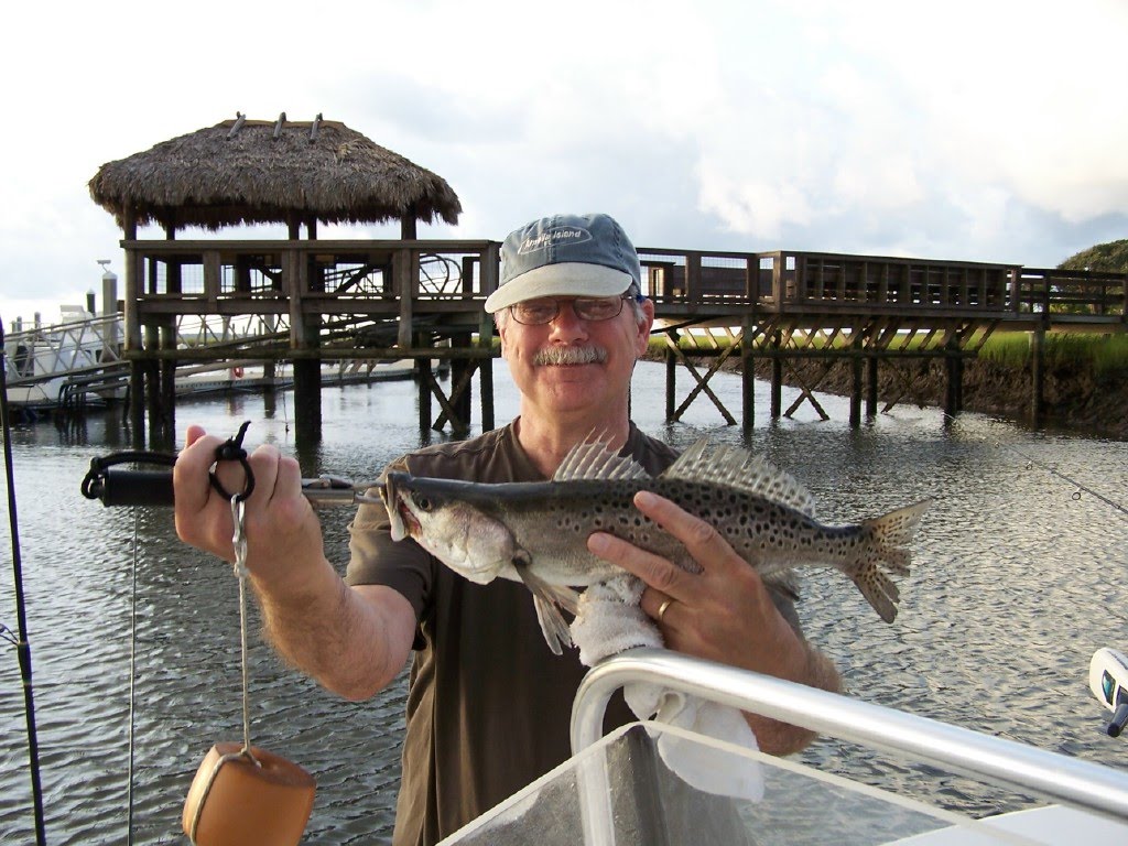 sea trout