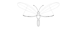 how-to-draw-butterfly-2-7