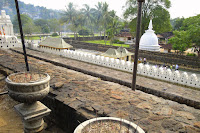 Kandy Tooth Relic