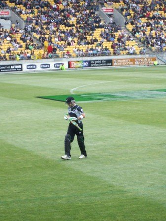ニュージーランド色 In Wellington 紳士のスポーツ クリケット