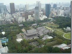One of the many views from Tokyo Tower.