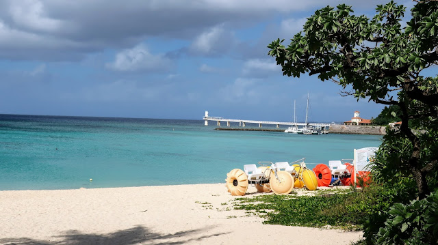 ブセナ海中公園  沖縄