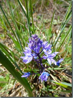 P1020253