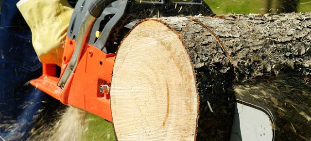 tree felling services