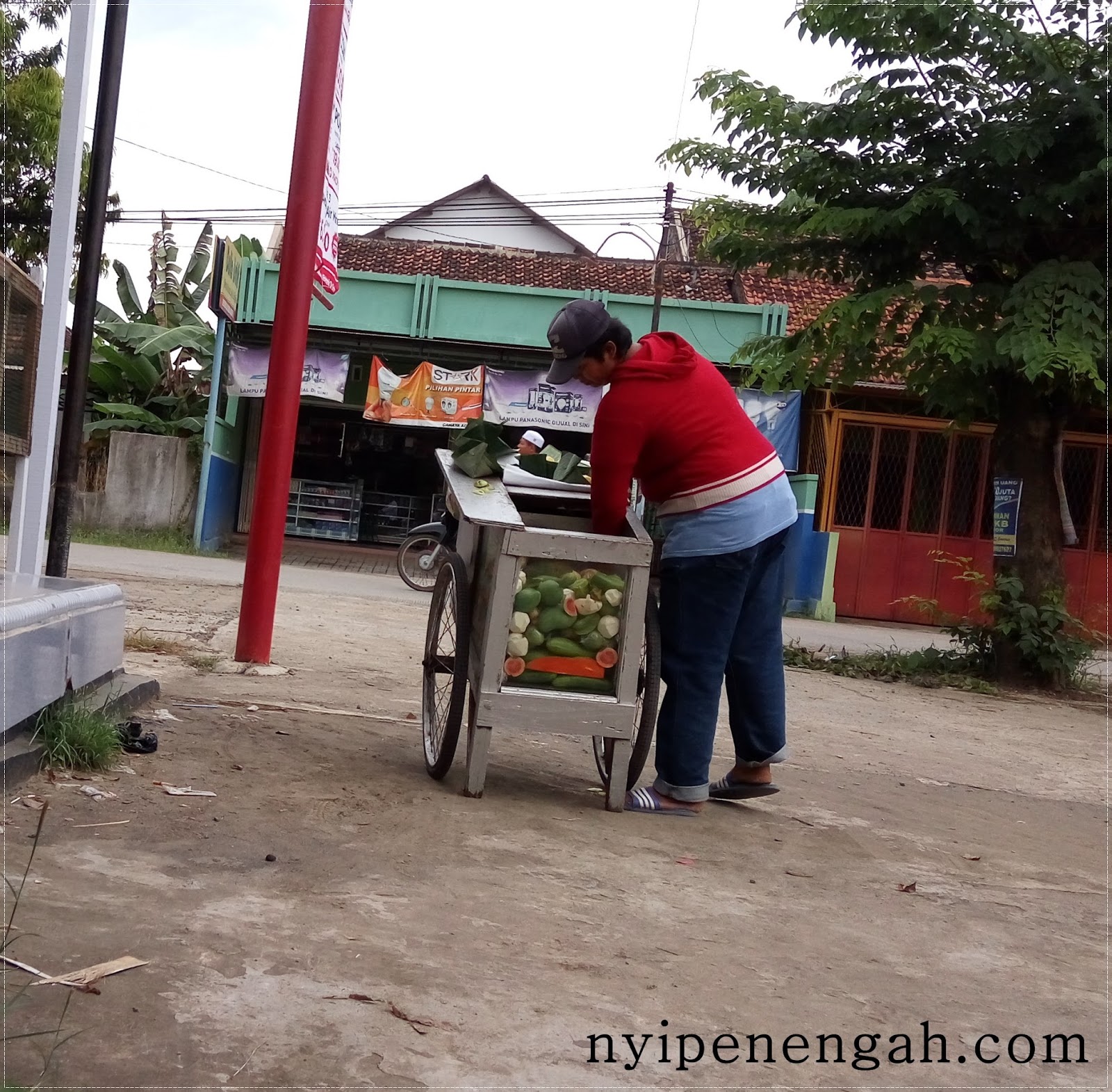 Ibu Penjual  Rujak Lotek Keliling  yang Sederhana BLOGGER 