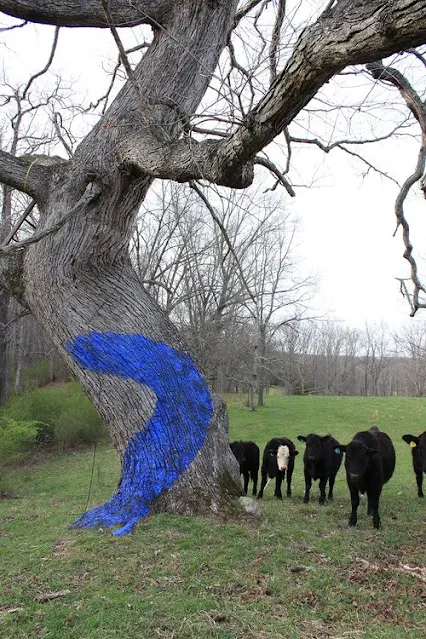 Aviva Rahmani - One Blued Tree