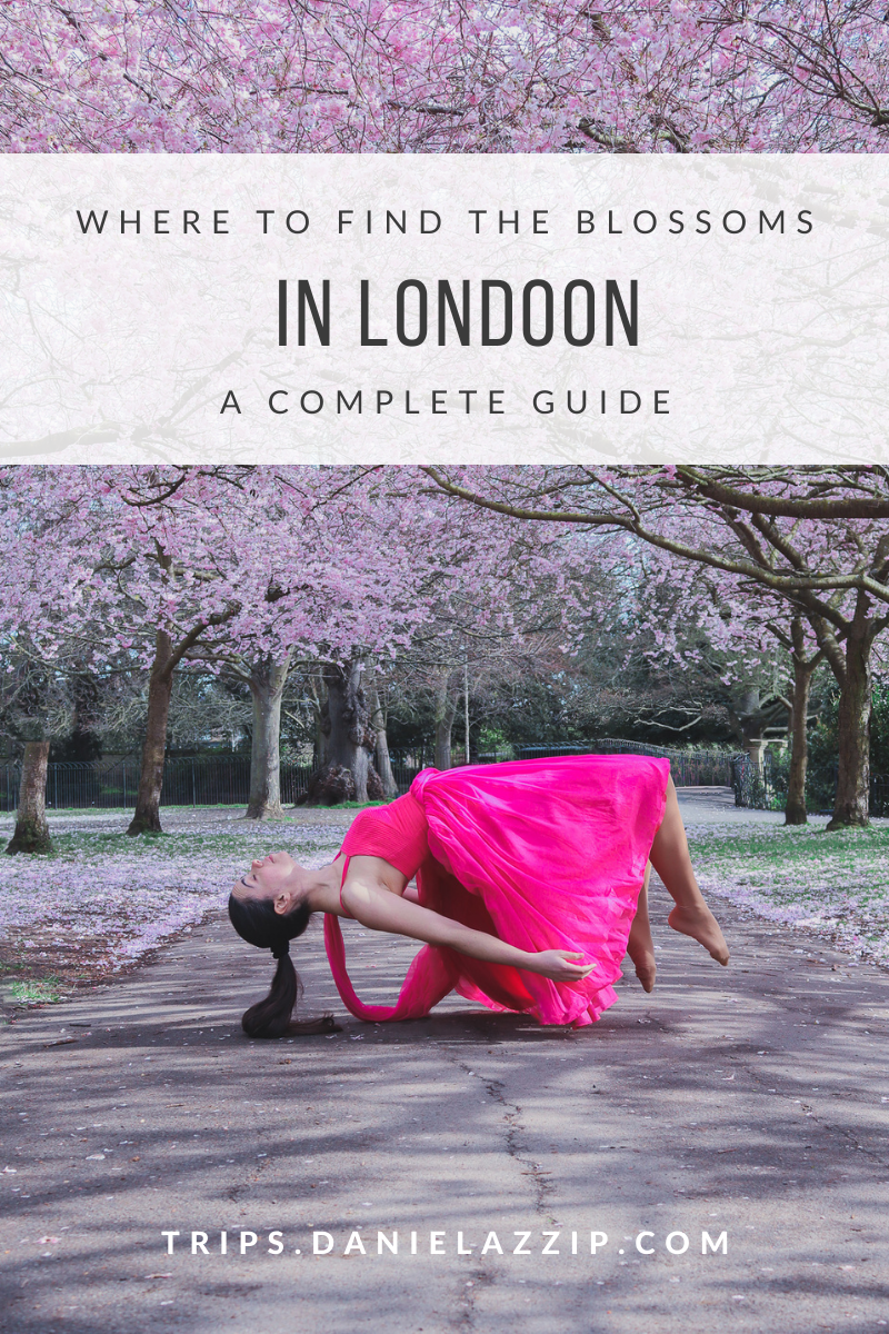 where to find the blossoms in london