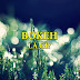 Bài hướng dẫn chụp Bokeh với hiệu ứng lung linh cho bức ảnh 