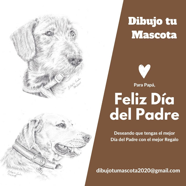 Dibujo tu mascota