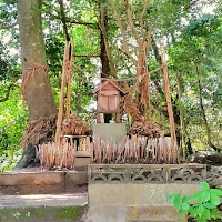 人文研究見聞録：揖夜神社 ［島根県］