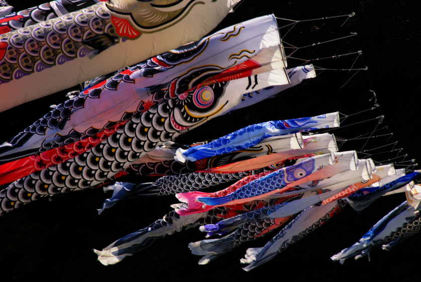 Suspended across a river is one of the more dramatic locations to see koinobori.