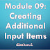 Module 09: Creating Additional Input Items