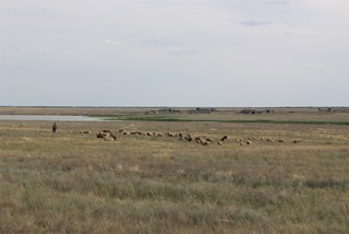 IMG_3284