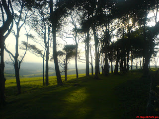 South Downs National Park South Downs Chanctonbury Ring Cissbury Ring Bignor Hill Truleigh Hill Devil’s Dyke Brighton Worthing Steyning Washington Storrington Ashington Hills downs sheep countryside England English South East England Arundel Amberley pond sheep dip dew pond South Downs Way drovers’ tracks vegetation woodland woods Arun river valley Adur river valley scarp slope downland Wiston Park A24 Shoreham by Sea Sompting Chiltington Fulking Poynings A23 Brighton Slindon Chichester Parham House Winchester Midhurst Pulborough Petworth rolling gentle cattle Arundel Castle Bury 