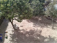 Mi foto