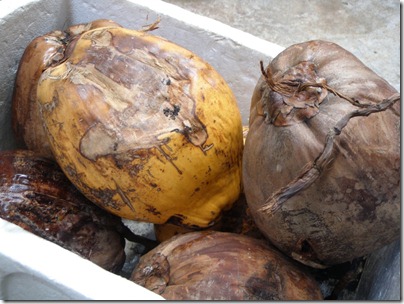 fresh coconut       