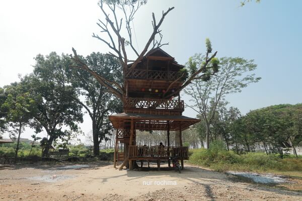 rumah pohon