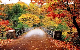 Japan Autumn 7D6N <br/> Rp 10,000,000