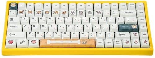 Review Geeksocial 5-Faced Dye-subbed Mechanical Keyboards