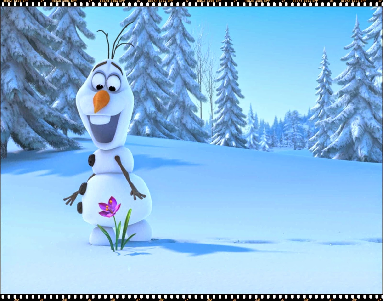 Contoh Gambar Kartun Frozen - Toko FD Flashdisk Flashdrive