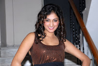 Hari Priya Hot Stills At Pilla Zamindar Audio Event