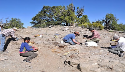 Fosil Spesies Baru Dinosaurus Lapis Baja ditemukan di Utah