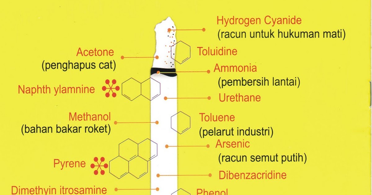 "MY WORLD": Kandungan dan Bahaya Rokok