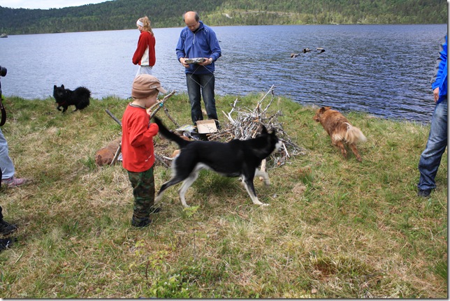 bursdag og lapphundtreff 123
