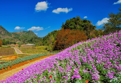 Tempat Wisata di Thailand 