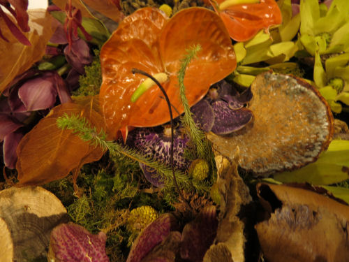 Philadelphia Flower Show 2019- The Four Seasons- Autumn