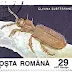 Selo da Romênia, Clivina subterranea