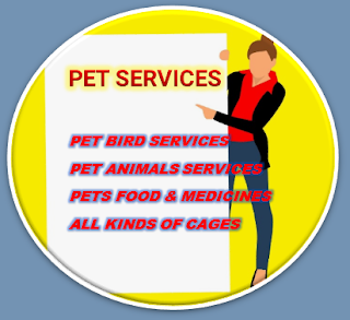 BEST PRICES IN KOLKATA FOR PET DOGS PET CATS PET MOUSE PET RABBIT PET BIRDS AQUARIUM FISH & ACCESSORIES PETS FOOD & MEDICINES ALL KINDS OF CAGES