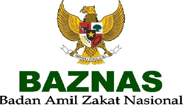 lowongan non cpns, penerimaan non cpns, penerimaan baznas 2016