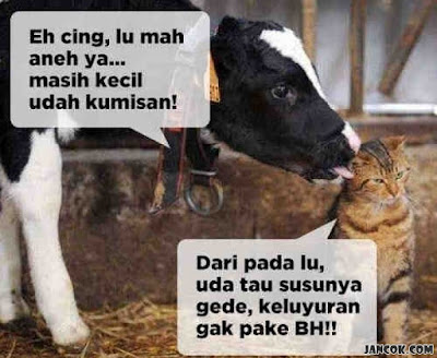 29 Meme Kata-Kata Lucu Andai Binantang Bisa Bicara Ini Kocak Banget