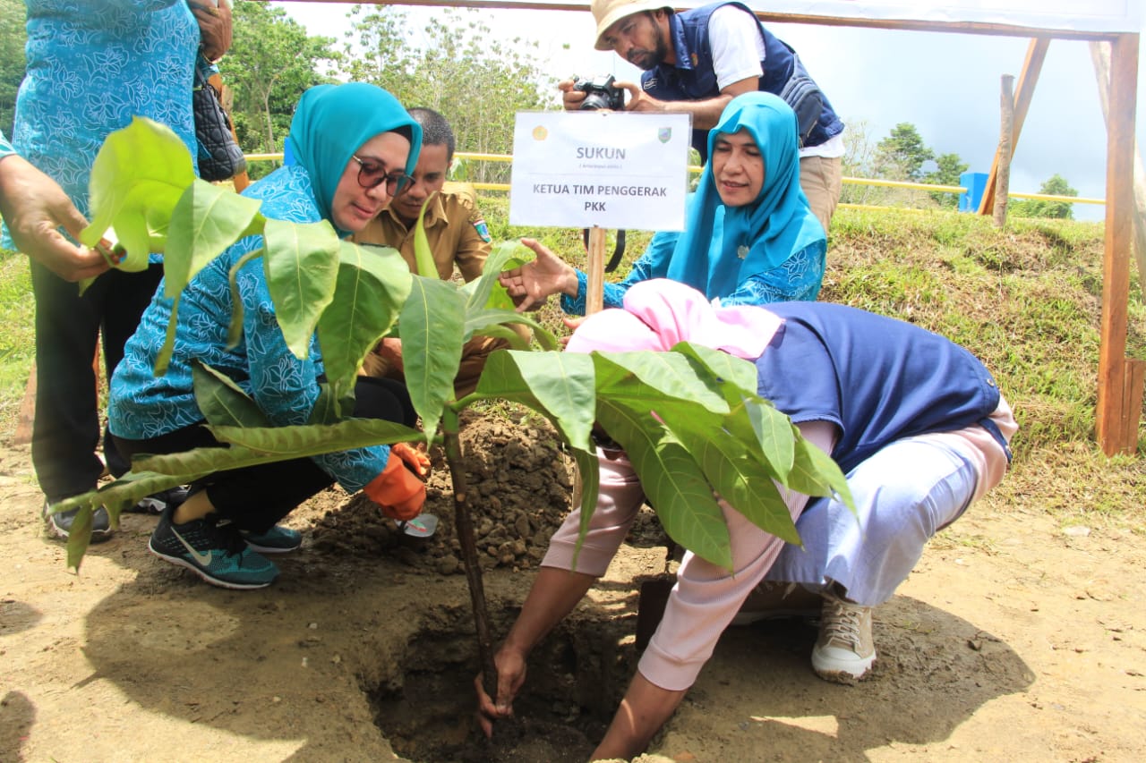 Mengantisipasi Krisis Pangan Global Kabupaten SBT Siapkan 1.600 Pohon Sukun