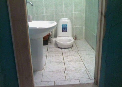 unusual toilets