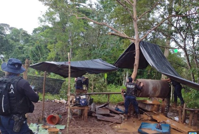 Fuerza Pública intensifica operativos contra minería ilegal en Crucitas