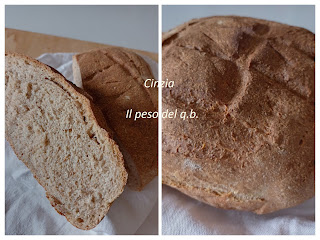 pane integrale cotto nel airfryer