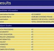 9 a's waec result