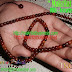 Muslim Prayer Beads Seed  Tasbih Buah Kaokah Mini Mrica Ukuran 99 Biji Diameter 4 mm 