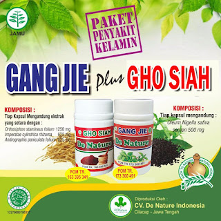  Obat Ampuh Sipilis Raja Singa