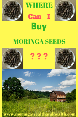 Where buy moringa seeds