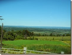 DSCN8618