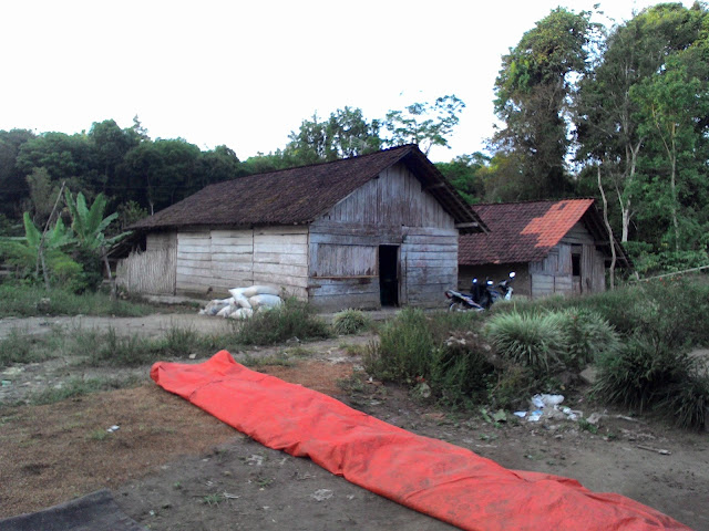 rumah-di-gunung-raung