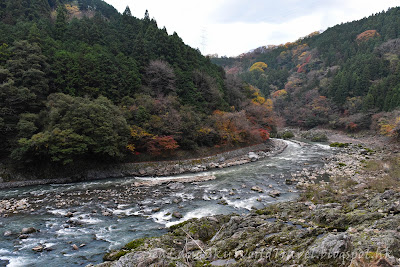 嵐山, 嵯峨野紅葉